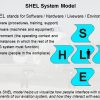 Understanding our SMS SHEL model